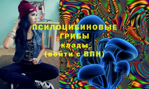apvp Тутаев