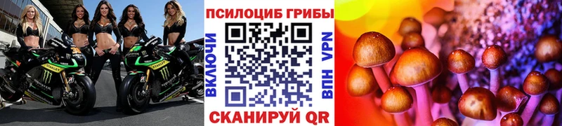 гидра рабочий сайт  Шали  Галлюциногенные грибы ЛСД  где можно купить  