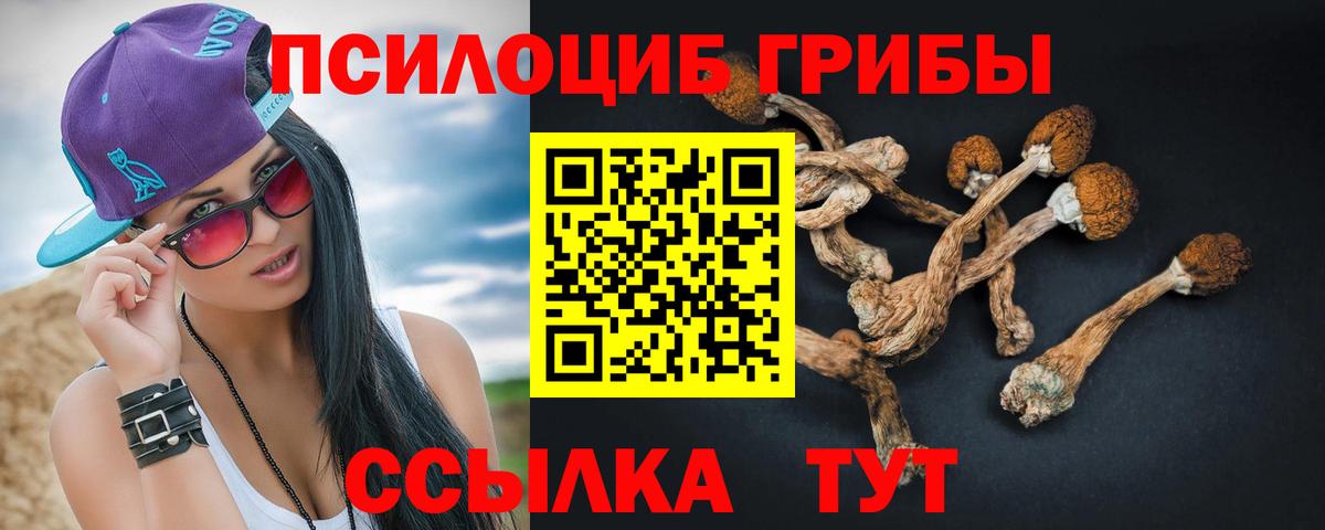 Галлюциногенные грибы GOLDEN TEACHER  Галлюциногенные грибы Psilocybe  Вход с VPN  Шали 