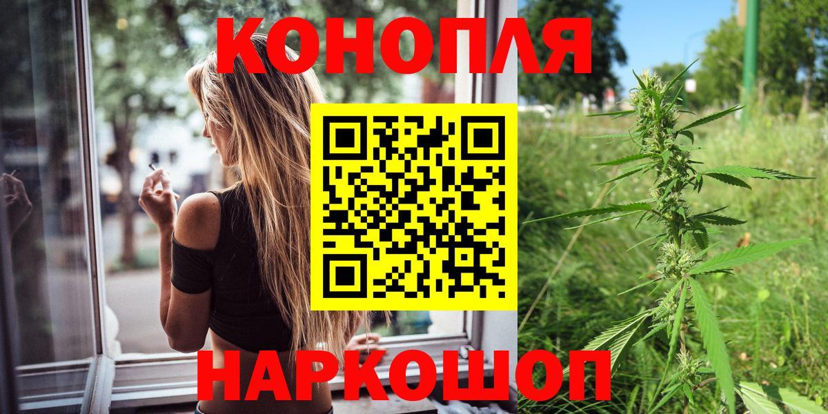 Бошки марихуана сатива Шали
